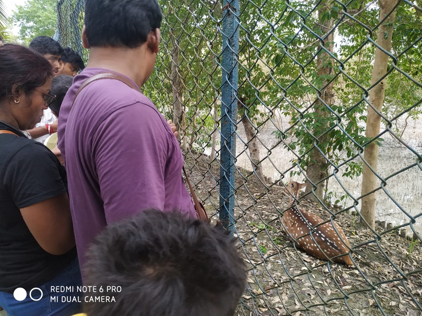Best Sundarban Tour Operator for Customized Sundarban Trips