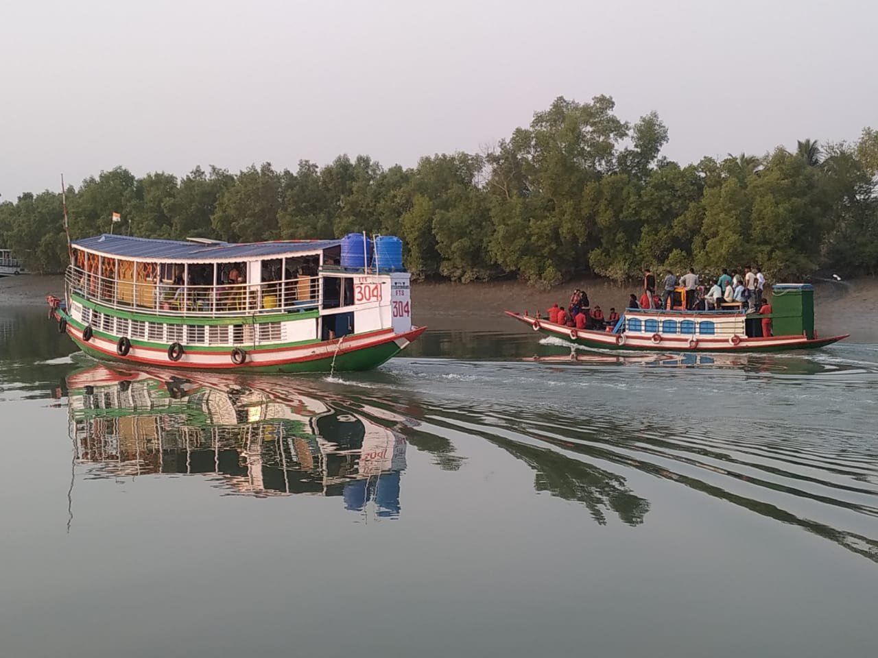 Sundarban Wildlife Safari: Exploring the Forest by Boat