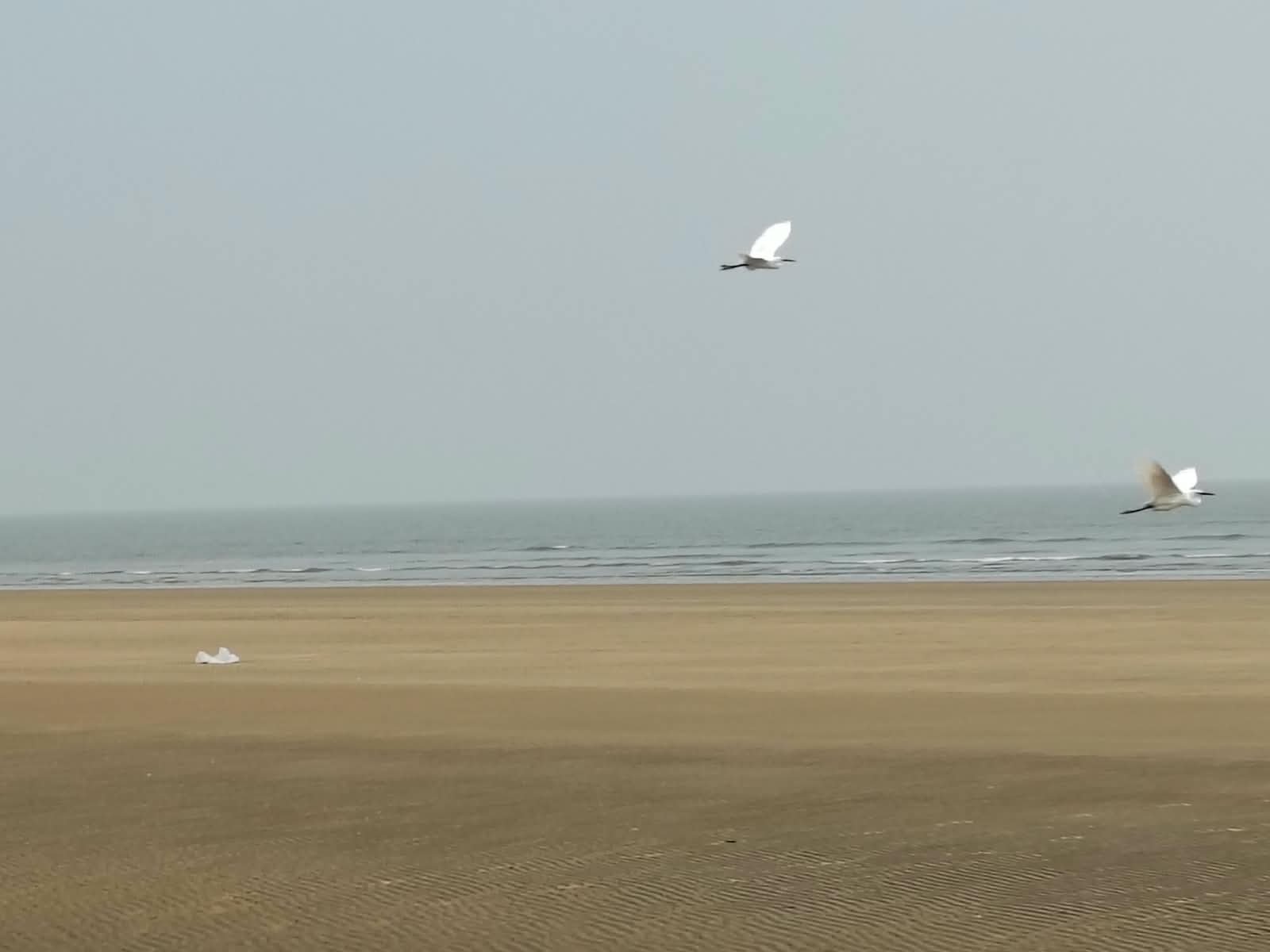 Digha
