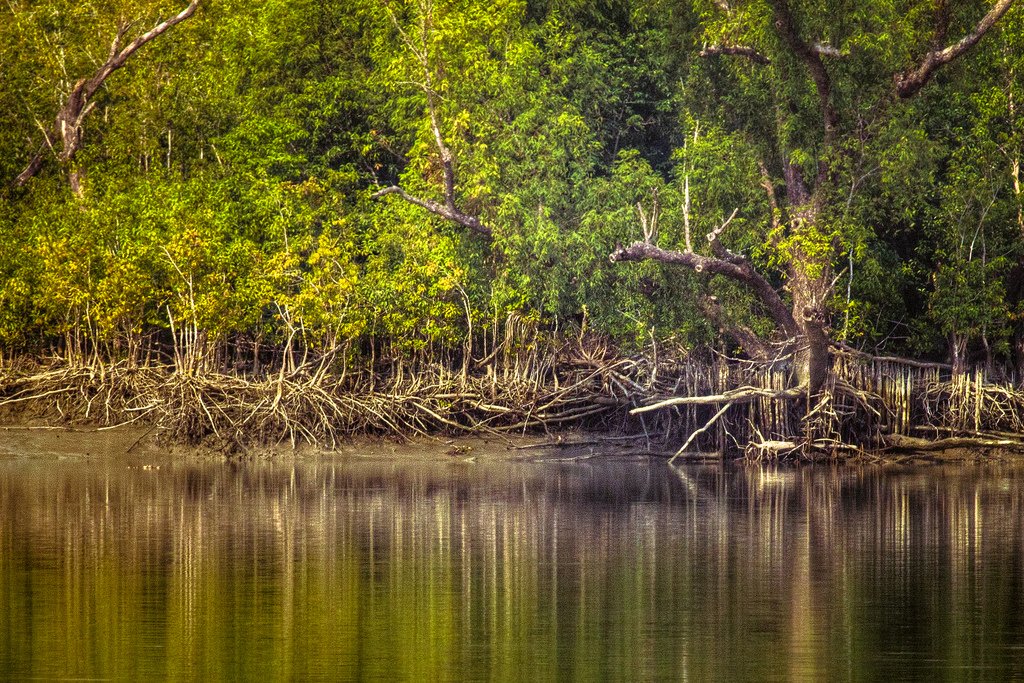 Sundarban 3 Nights 4 Days Tour Package