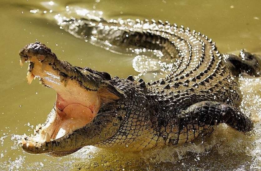 Sundarban 1 Night 2 Days Tour Package