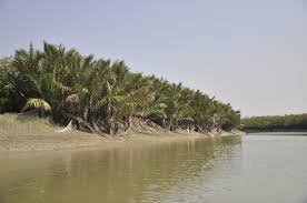 Sundarban Adventure Tour Package